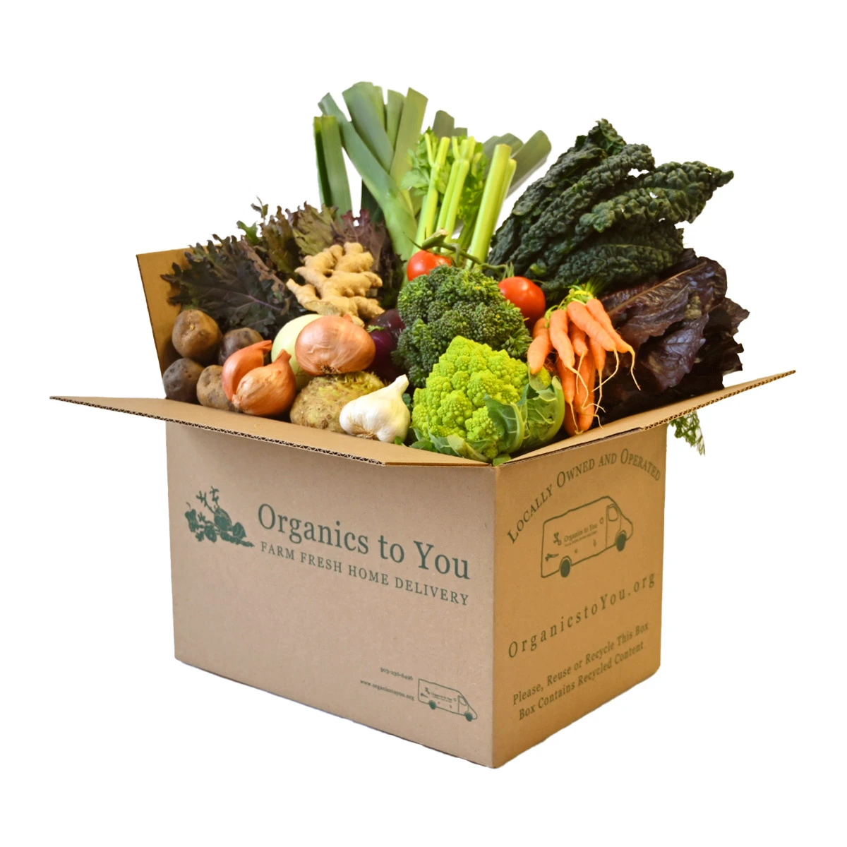 All Veggie Bin All Veggie Bin