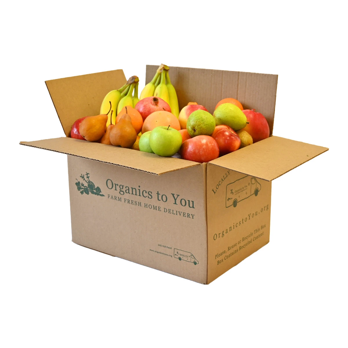 All Fruit Bin All Fruit Bin