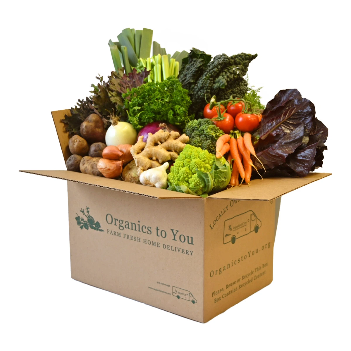 Large All Veggie Bin Large All Veggie Bin