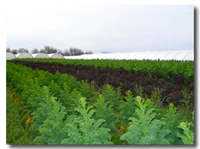 Denison Farms Denison Farms