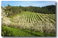 Ken Newman Farm Ken Newman Farm