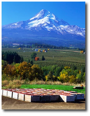 Mt. Hood Organic Farm Mt. Hood Organic Farm