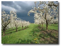 Omega Farm Omega Farm